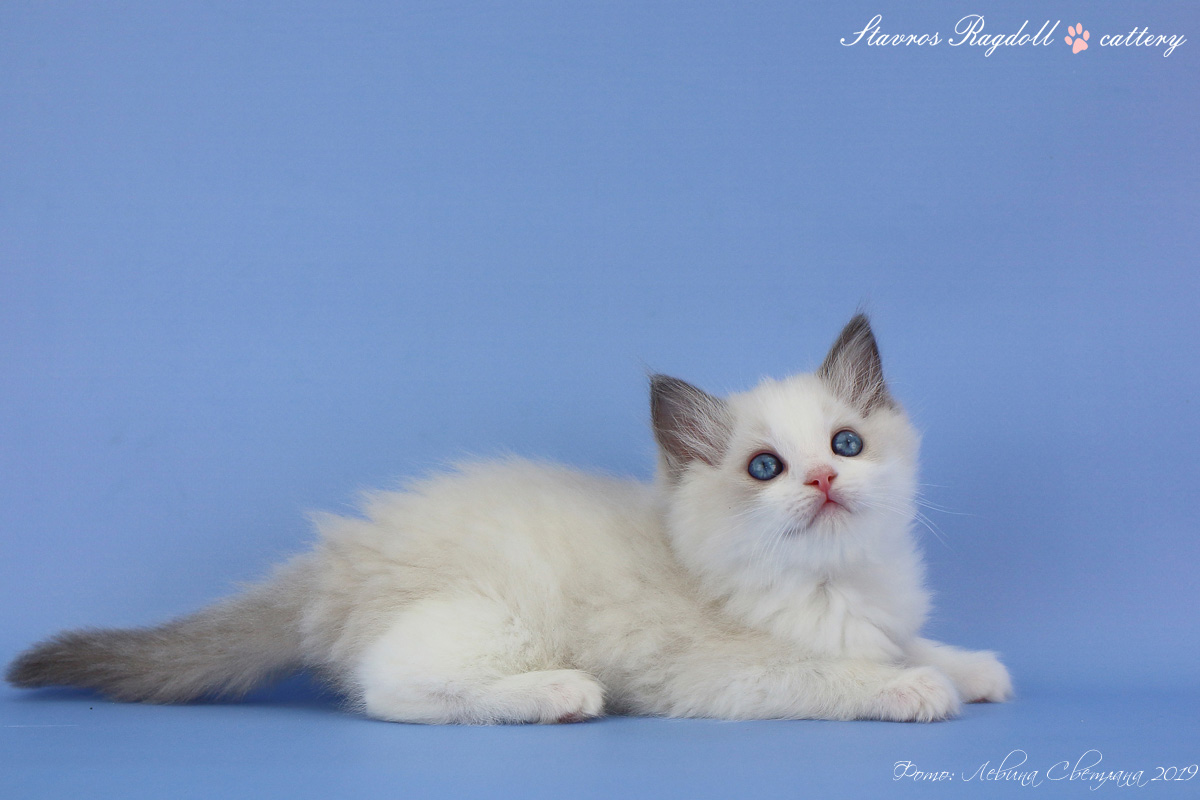 img-oskar-w1-big.jpg